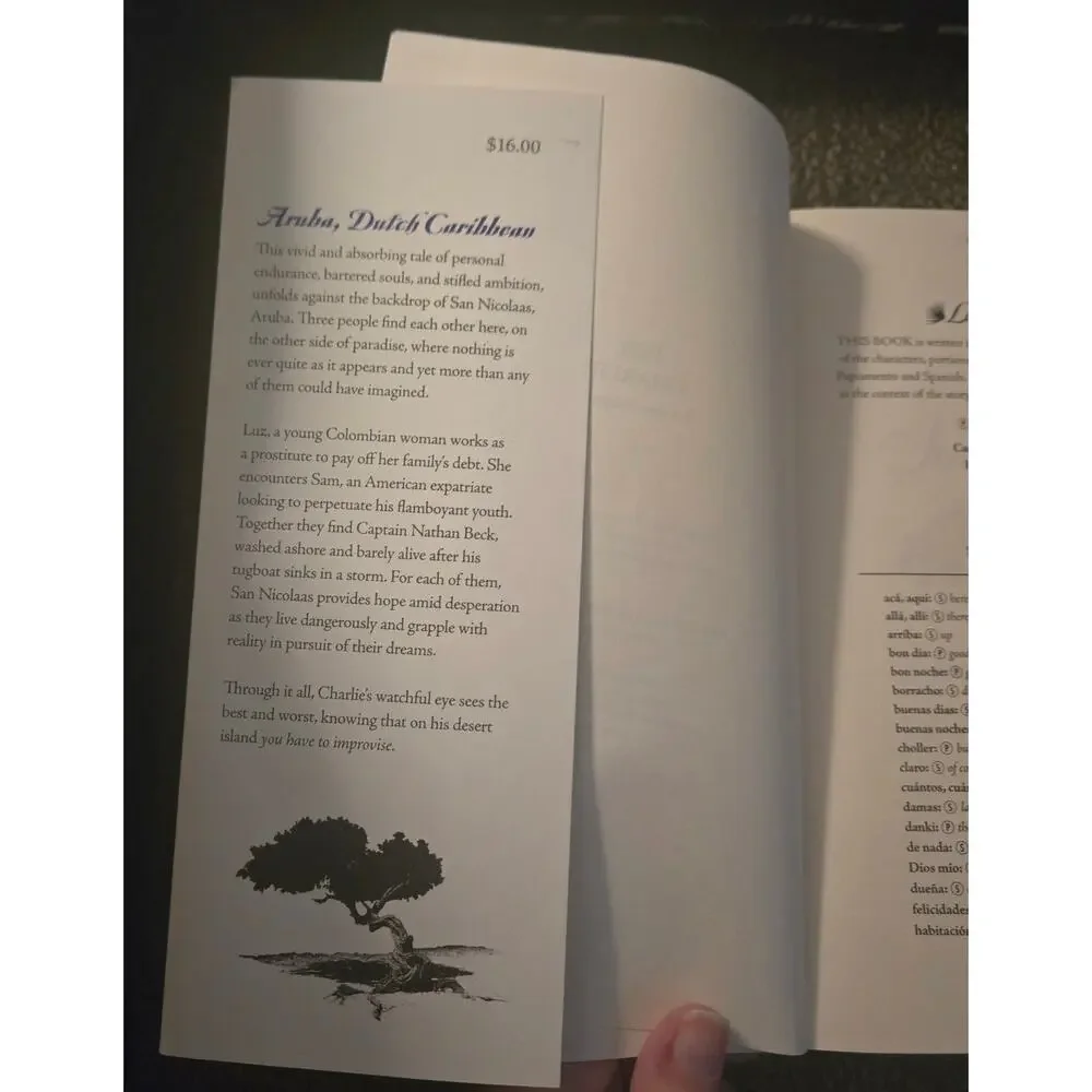 An Island Away: A Novel by Daniel Putkowski (Paperback, 2017) – Good Condition